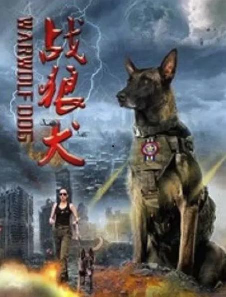 战狼犬,忠诚守护，勇猛无畏的军犬传奇