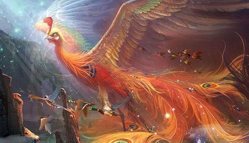 寒鸦妄披彩凤翎,探寻平凡中的非凡之美